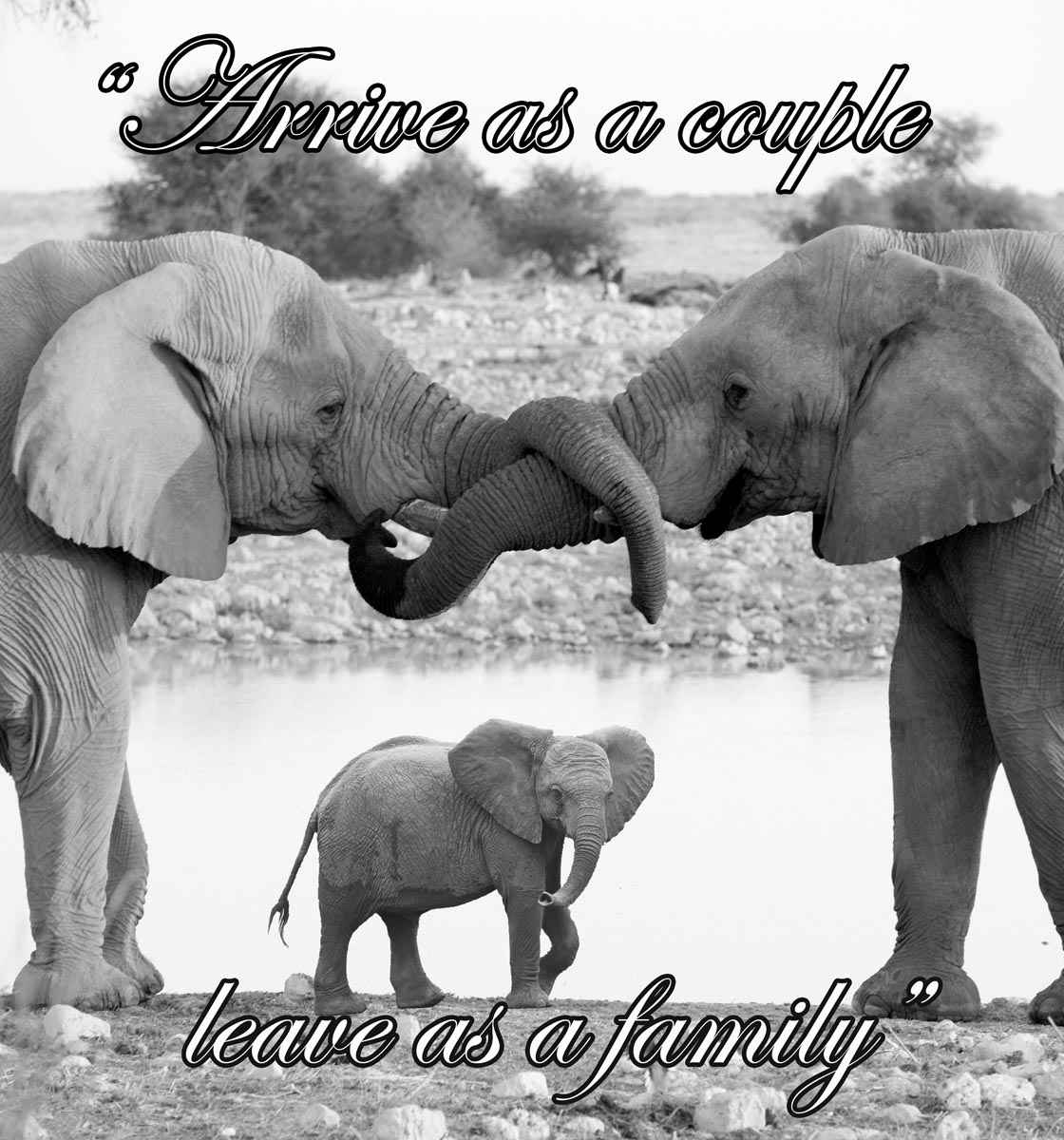 Diseño de Póster por Lou Sharp para este proyecto | Diseño #1074072