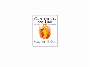 Book Cover Design by Stasia