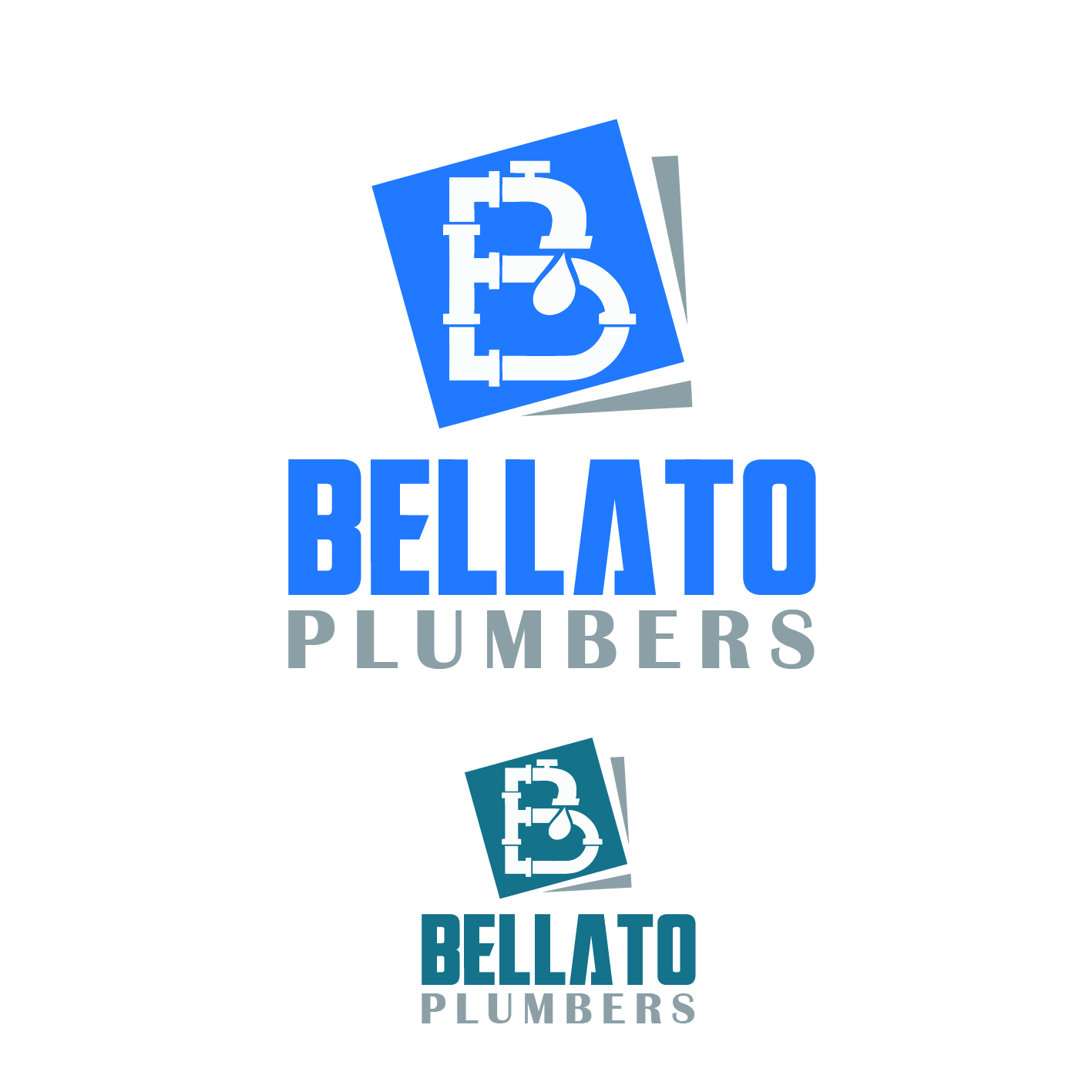 Logo Design by Sharaan Momin for this project | Design #3862464