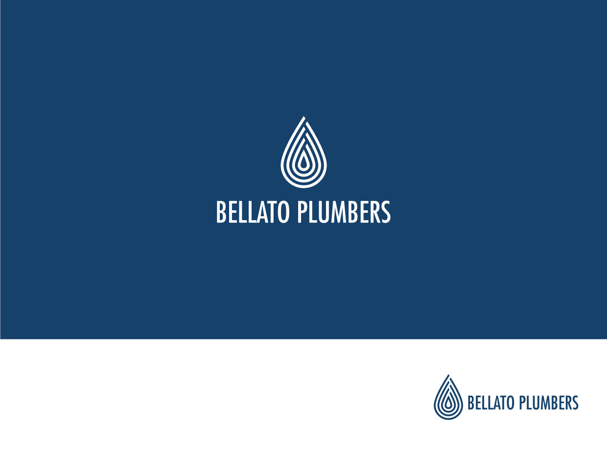 Logo Design by Atvento Graphics for this project | Design #3889050