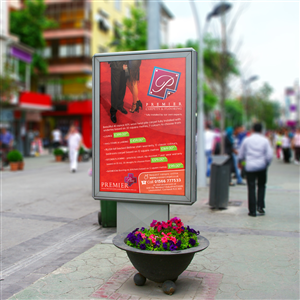 Advertisement Design by David for Premiercarpets & flooring | Design: #1019703