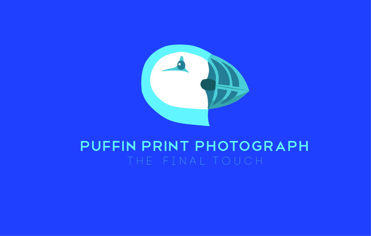 Logo Design by rjosafat1987 for this project | Design #3967363