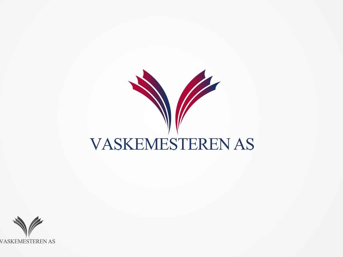 Logo Design by WirePaper for Vaskemesteren AS | Design #1024122