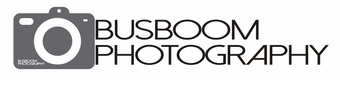 Design de Logo par DesignPro101 pour one of two... either Busboom Photography or Brent Busboom Photography | Design #3852089