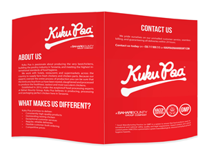 Flyer Design by Mihail Palatov for this project | Design: #4339738