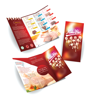 Flyer Design by Vixer