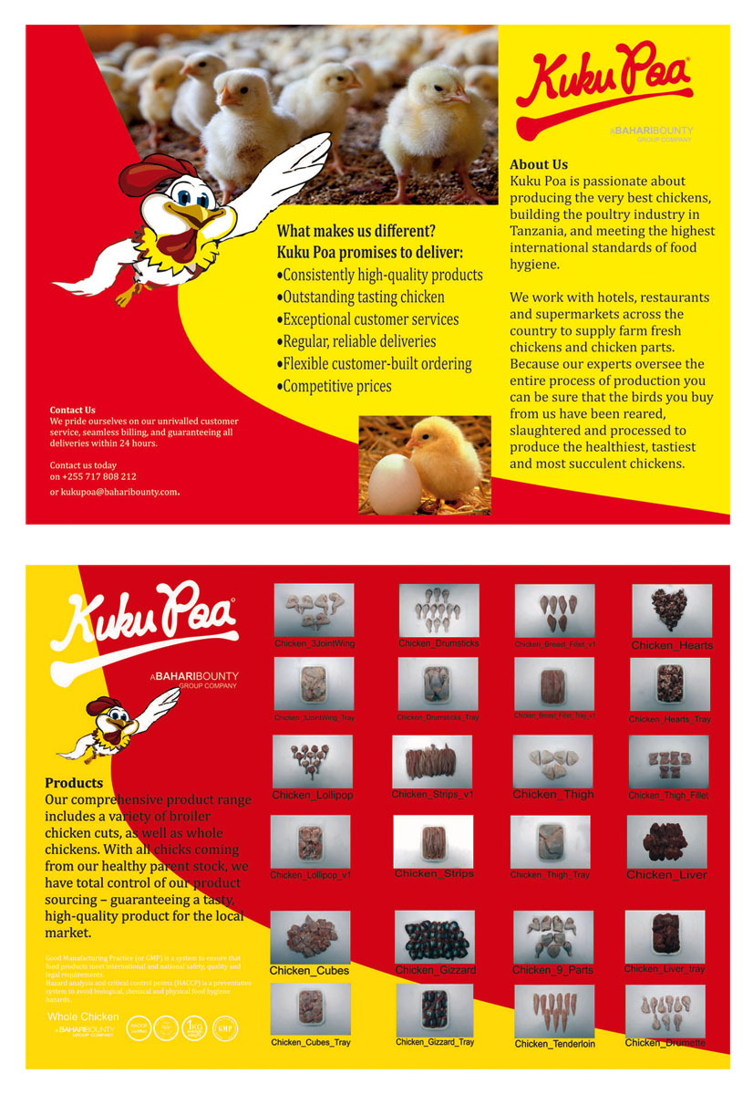 Flyer Design by macoruche for this project | Design #4355911