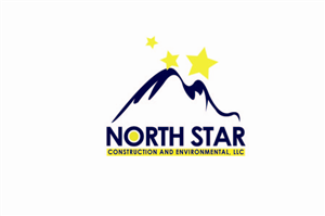 Logo Design by QissDesign Solution