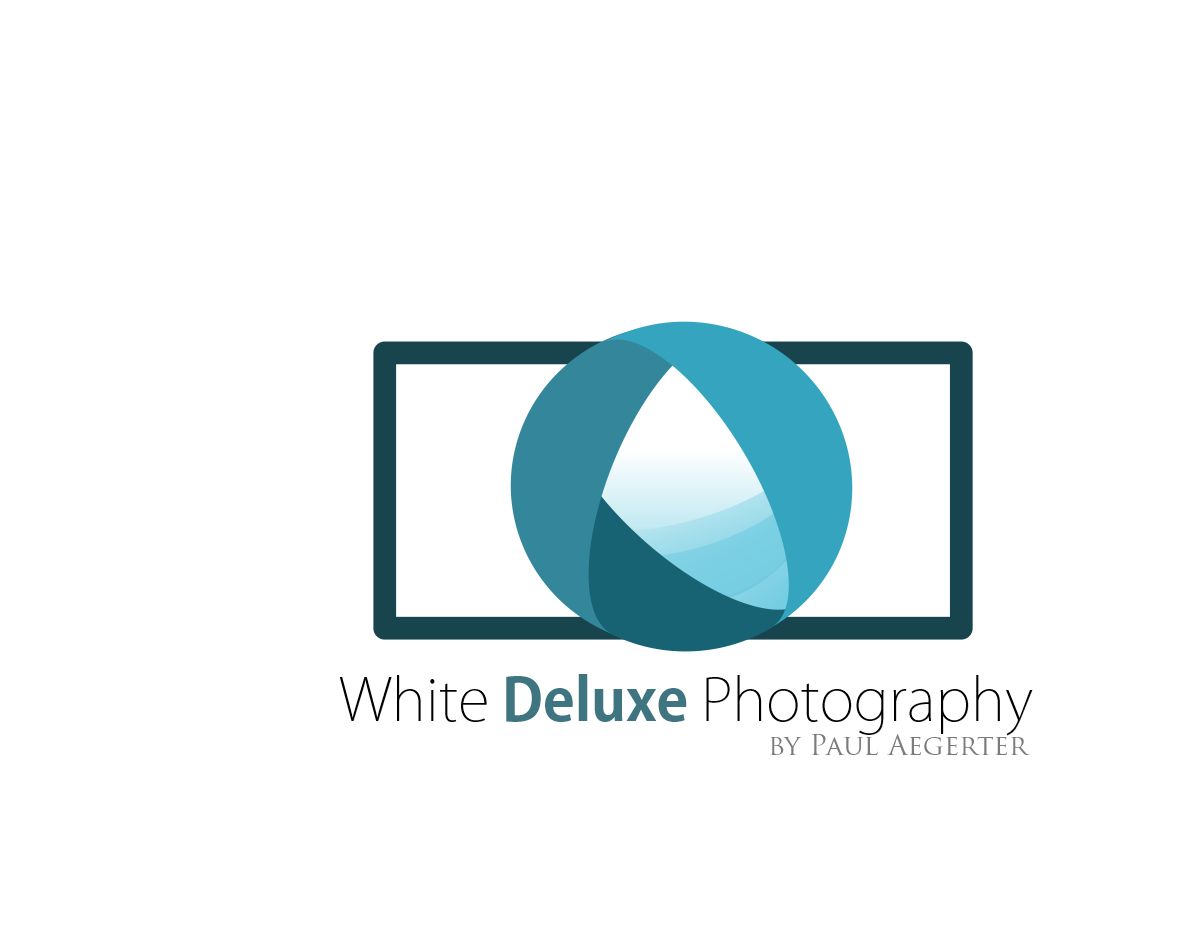 Logo Design by Loredana D. for this project | Design #3832951
