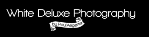 Logo Design by nikola_susak for this project | Design #3832867
