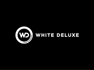 Logo Design by Mode Graphic Design Agency