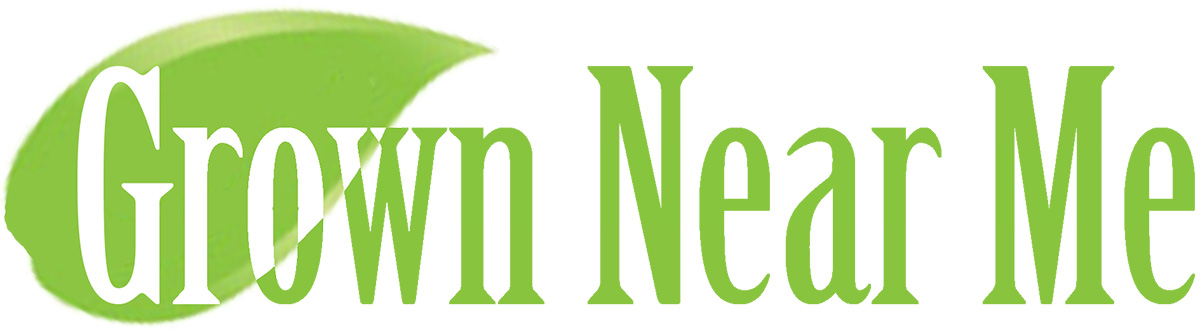 Web Design by NLDesign for this project | Design #4055523