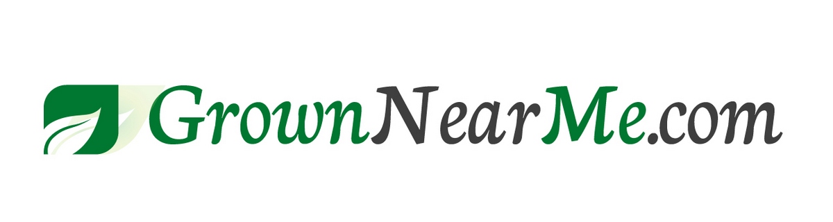 Web Design by tale026 for this project | Design #4032517