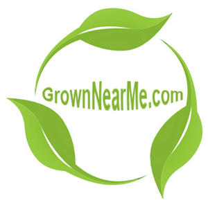 Web Design by mchswebmaster for this project | Design #4001890