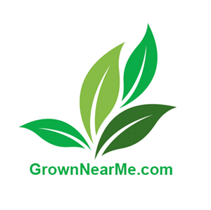 Web Design by mchswebmaster for this project | Design: #4001975