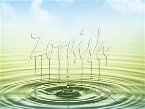 Logo Design by Zoraish