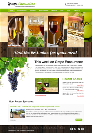 Wordpress Design by webxvision for this project | Design: #3915260