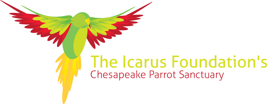Logo Design by jordyboy for The Icarus Foundation, Inc. | Design #3839657