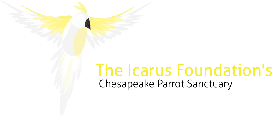 Logo Design by jordyboy for The Icarus Foundation, Inc. | Design #3866241