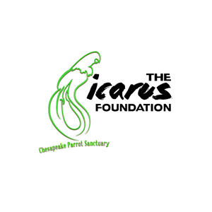 Logo Design by Venus L. Penaflor for The Icarus Foundation, Inc. | Design #4093365