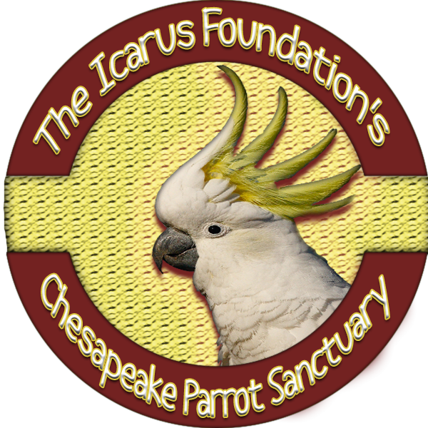 Design de Logo par enfamousd3sign pour The Icarus Foundation, Inc. | Design #3840217