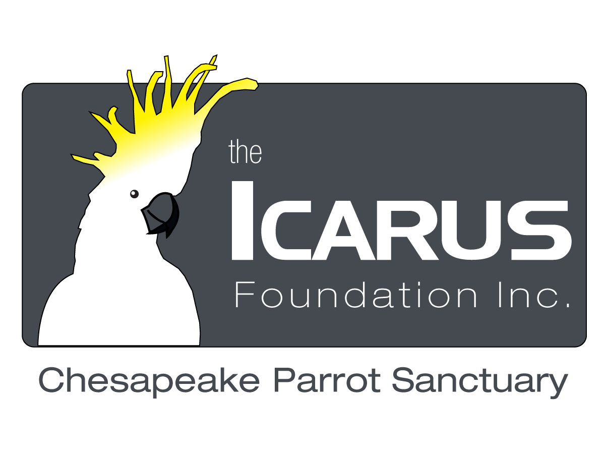 Design de Logo par ChristineDeye pour The Icarus Foundation, Inc. | Design #3845926