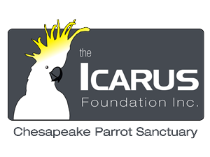 Logo-Design von ChristineDeye für The Icarus Foundation, Inc. | Design: #3845926