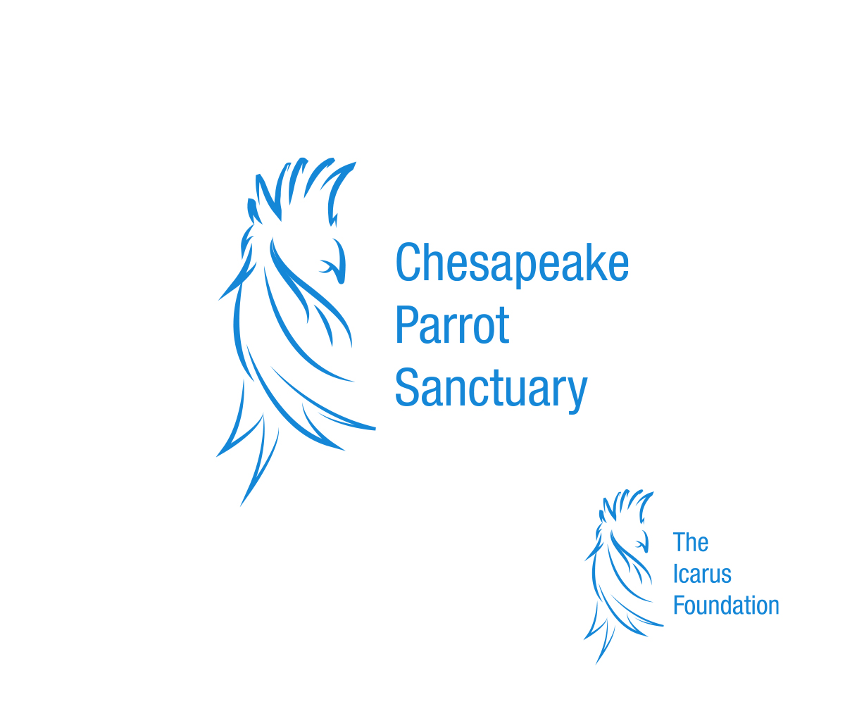 Logo Design by Ryan for The Icarus Foundation, Inc. | Design #4125104