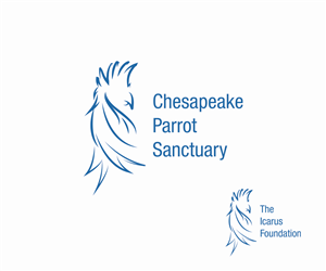 Logo Design by Ryan