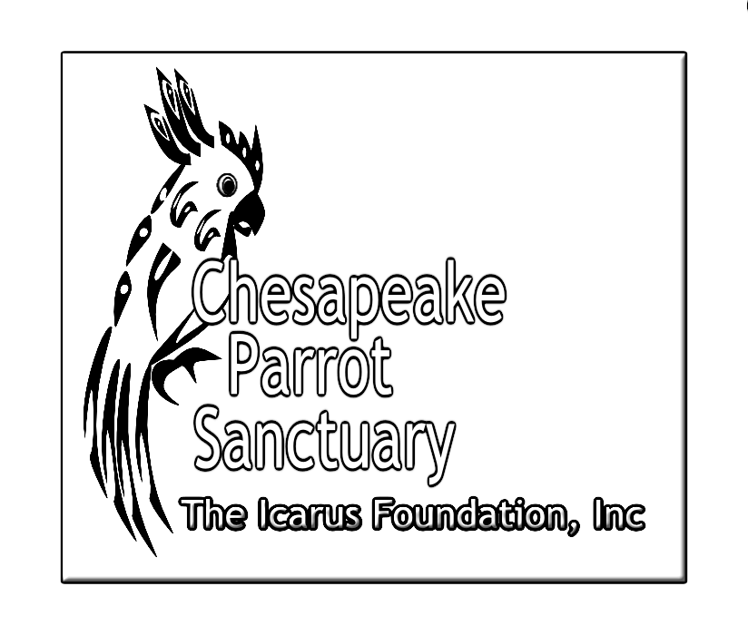 Design de Logo par ArtGallore pour The Icarus Foundation, Inc. | Design #3900739