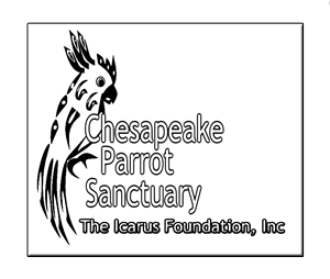 Design de Logo par ArtGallore pour The Icarus Foundation, Inc. | Design : #3900739