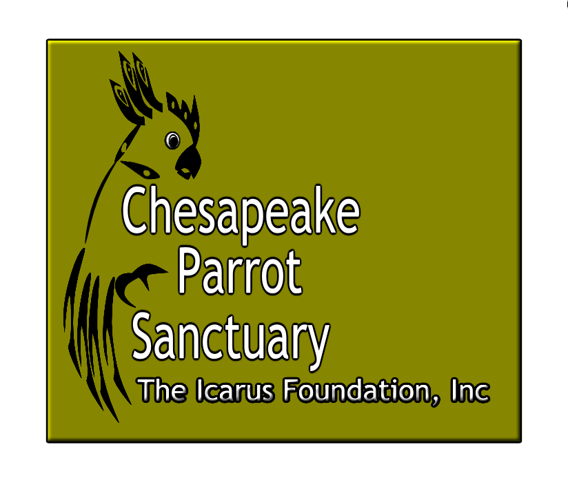 Design de Logo par ArtGallore pour The Icarus Foundation, Inc. | Design #3900778