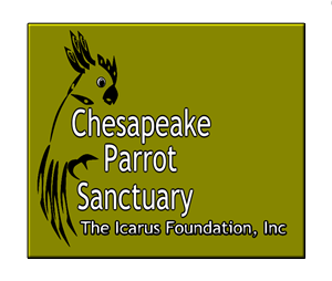 Design de Logo par ArtGallore pour The Icarus Foundation, Inc. | Design : #3900778