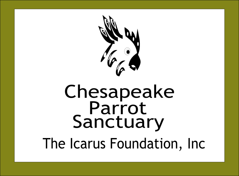 Design de Logo par ArtGallore pour The Icarus Foundation, Inc. | Design #4011513