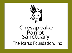 Design de Logo par ArtGallore pour The Icarus Foundation, Inc. | Design : #4011513