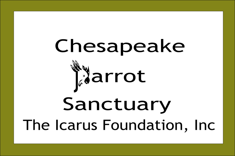 Design de Logo par ArtGallore pour The Icarus Foundation, Inc. | Design #4011568