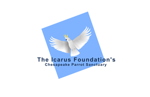 Logo Design by erex for The Icarus Foundation, Inc. | Design #3865877