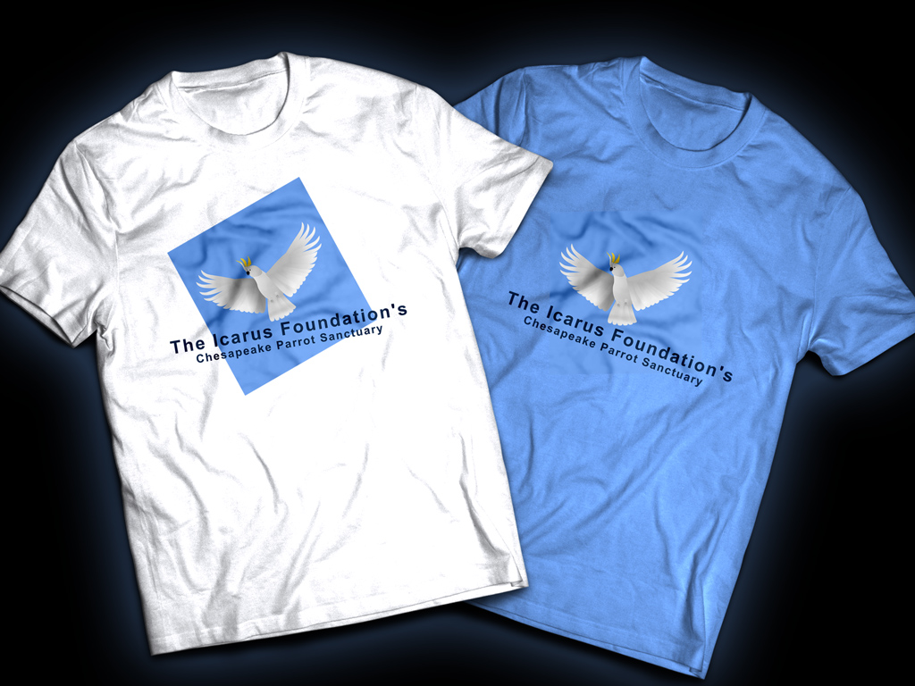 Logo Design by erex for The Icarus Foundation, Inc. | Design #3865919
