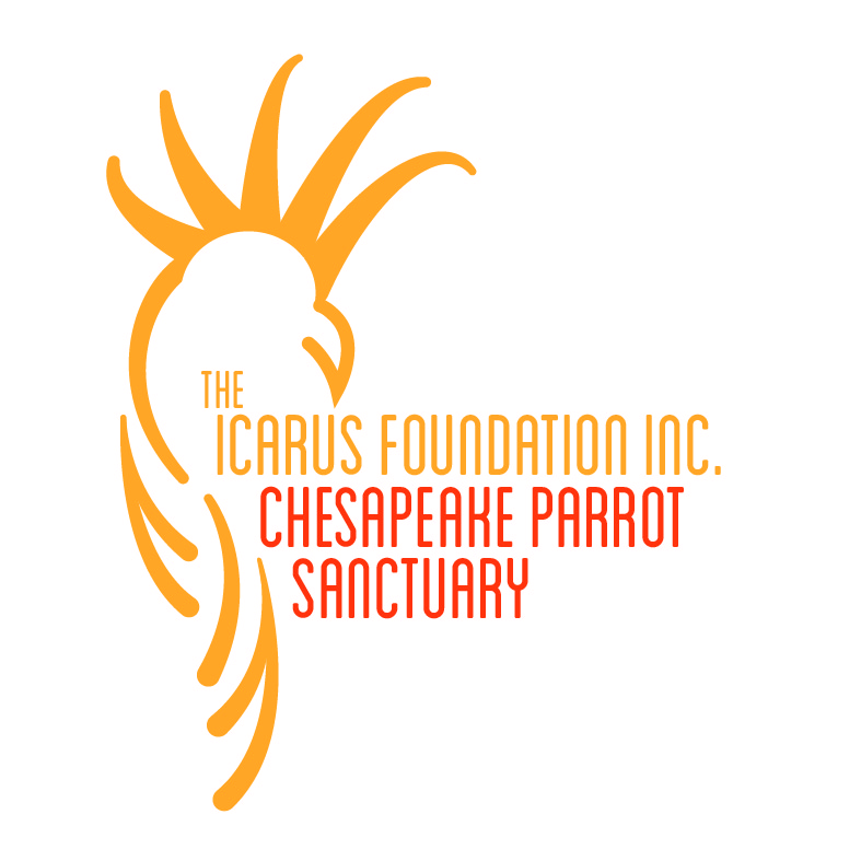 Design de Logo par LindsayA pour The Icarus Foundation, Inc. | Design #4096631