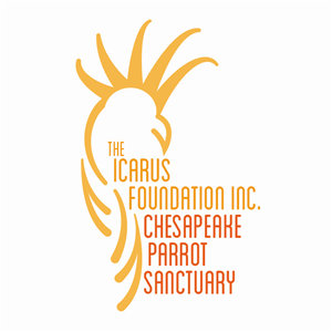 Logo Design by LindsayA
