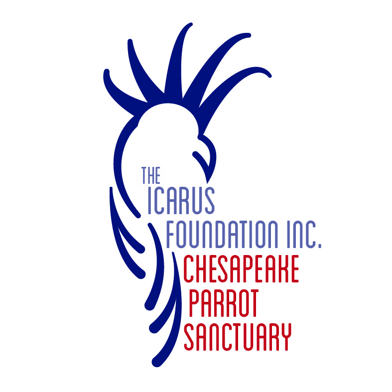 Logo Design by LindsayA for The Icarus Foundation, Inc. | Design #4096639