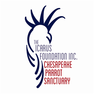 Logo-Design von LindsayA für The Icarus Foundation, Inc. | Design: #4096639