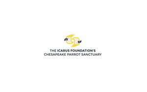 Logo-Design von Rizwan Ashraf für The Icarus Foundation, Inc. | Design: #3837365