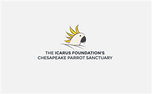 Logo Design by Rizwan Ashraf for The Icarus Foundation, Inc. | Design #3878640
