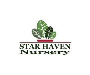 Logo Design by dianagargaritza for Star Haven Nursery | Design: #3858151