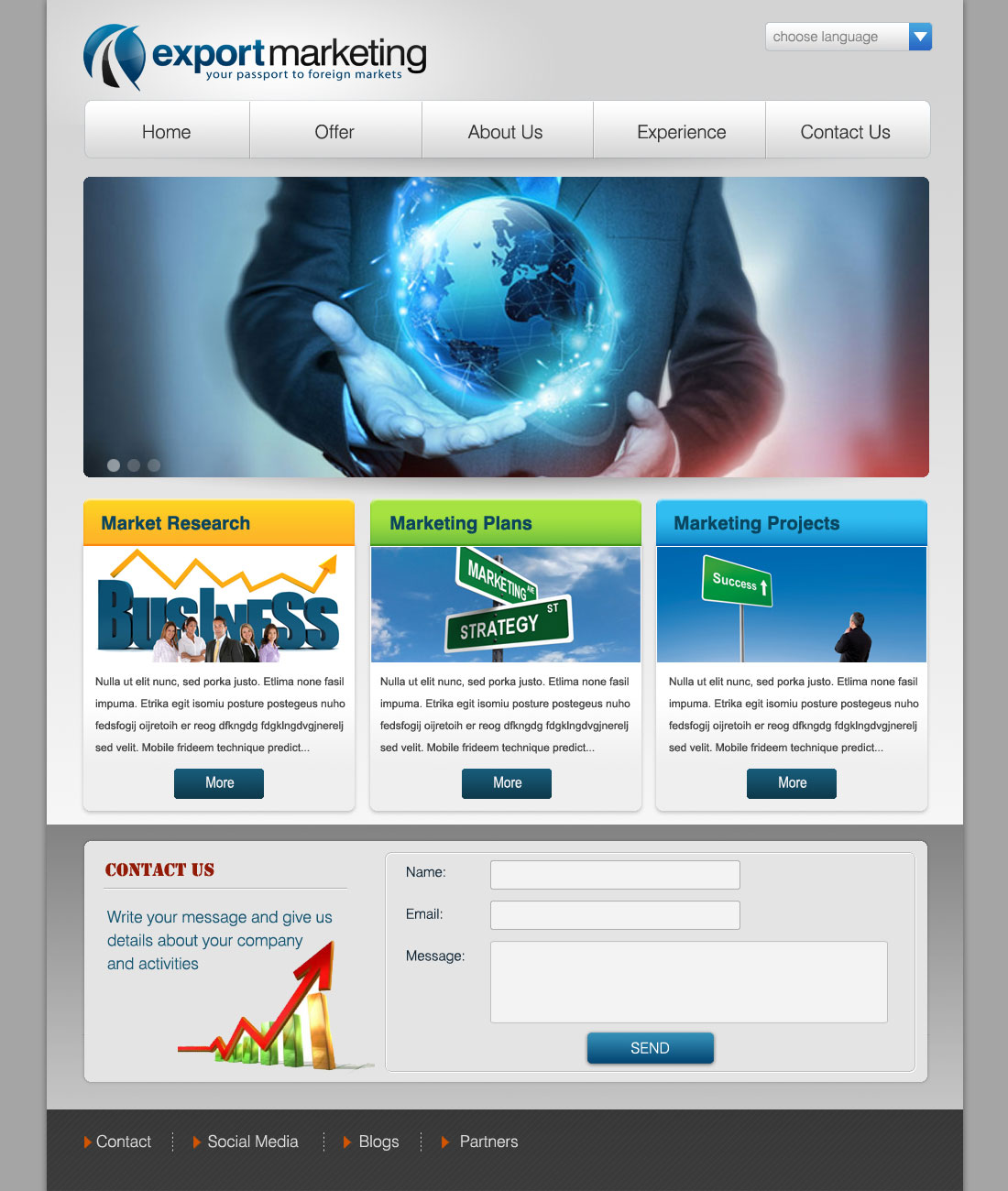 Web Design by Farnoosh M for PASZPORT DO EKSPORTU Sp. z o.o., ul. Trebacka 4, 00-074 Warszawa NIP:5252465296 | Design #1058559