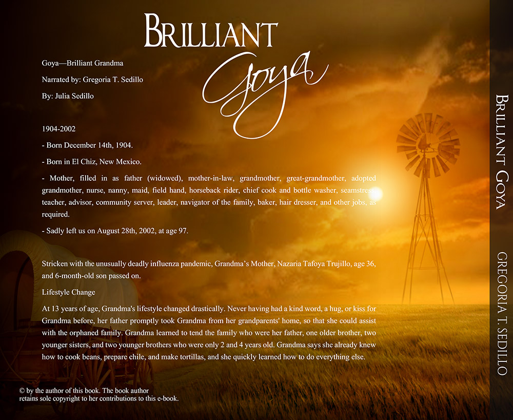 Book Cover Design by jshan for www. freediscountsavesale.com | Design #3880863