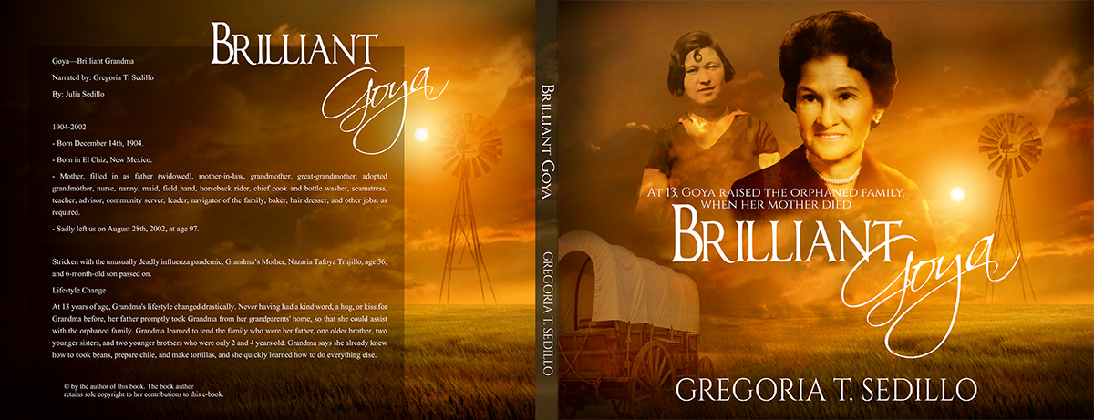 Book Cover Design by jshan for www. freediscountsavesale.com | Design #3901454