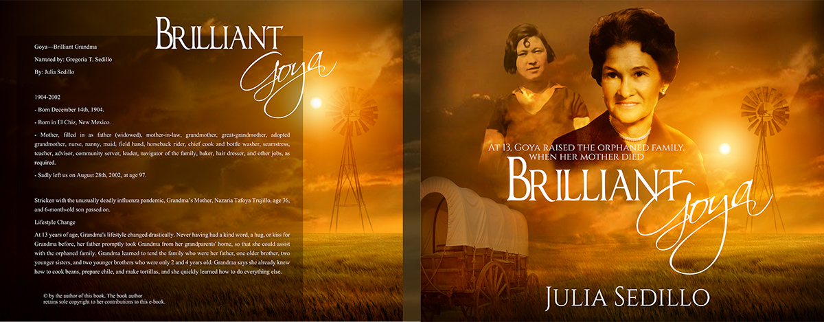 Book Cover Design by jshan for www. freediscountsavesale.com | Design #3907107