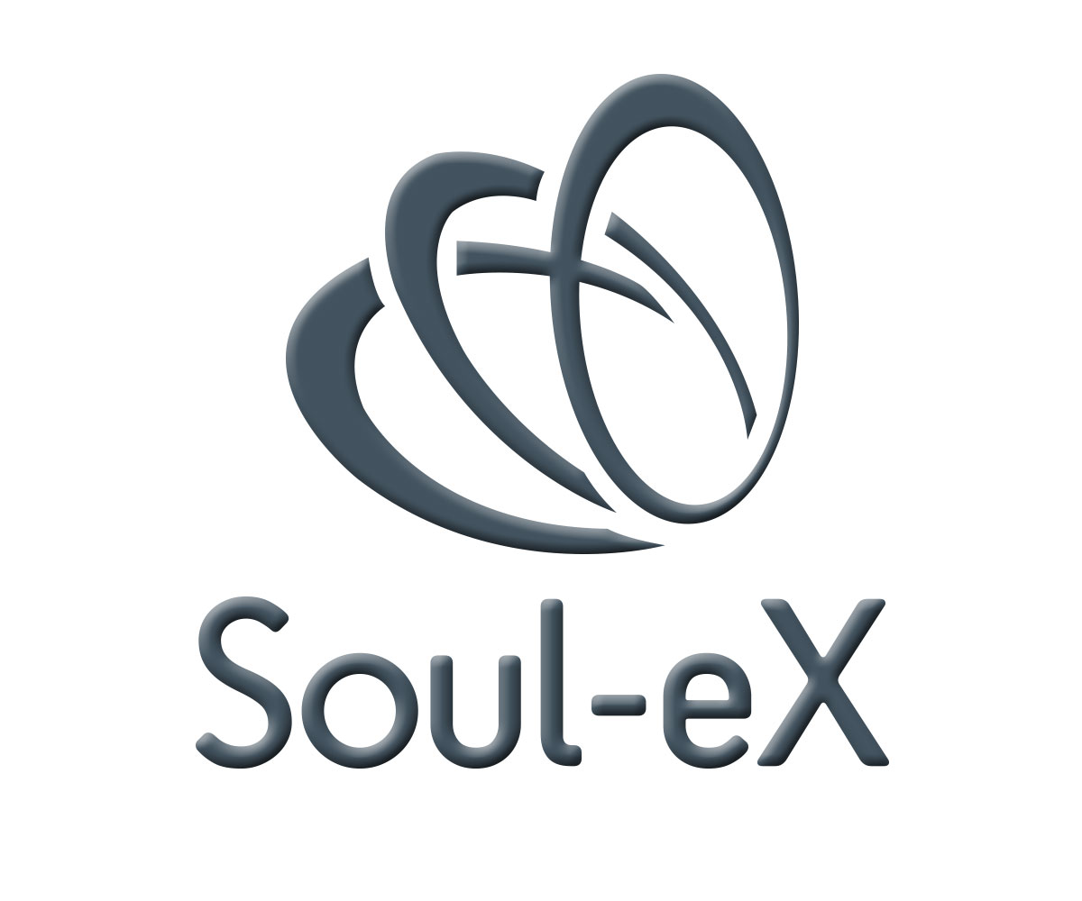 Schilder-Design von sbegley für Soul-eX | Design #3905400